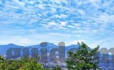 世界杯瑞典与韩国谁强-世界杯瑞典与韩国，实力对比与看点分析